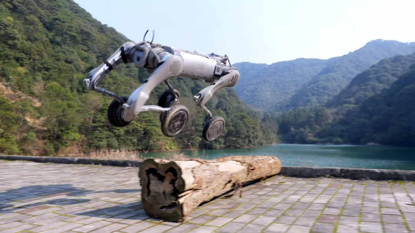 Best Ever! Robots at CES 2025 - Image Matrix Tech